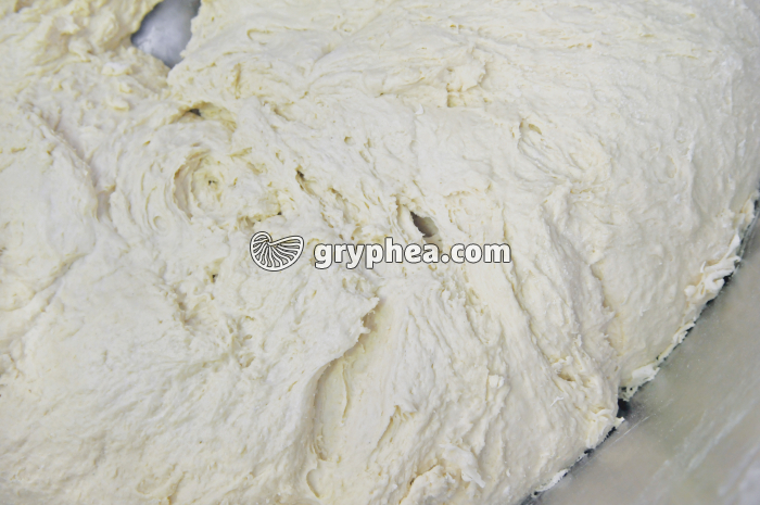 Fabrication du pain - Pâte à pain lors de la première fermentation en cuve - gryphea.com